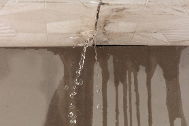 Professional Sewage Cleanup technician working in Olathe, CO